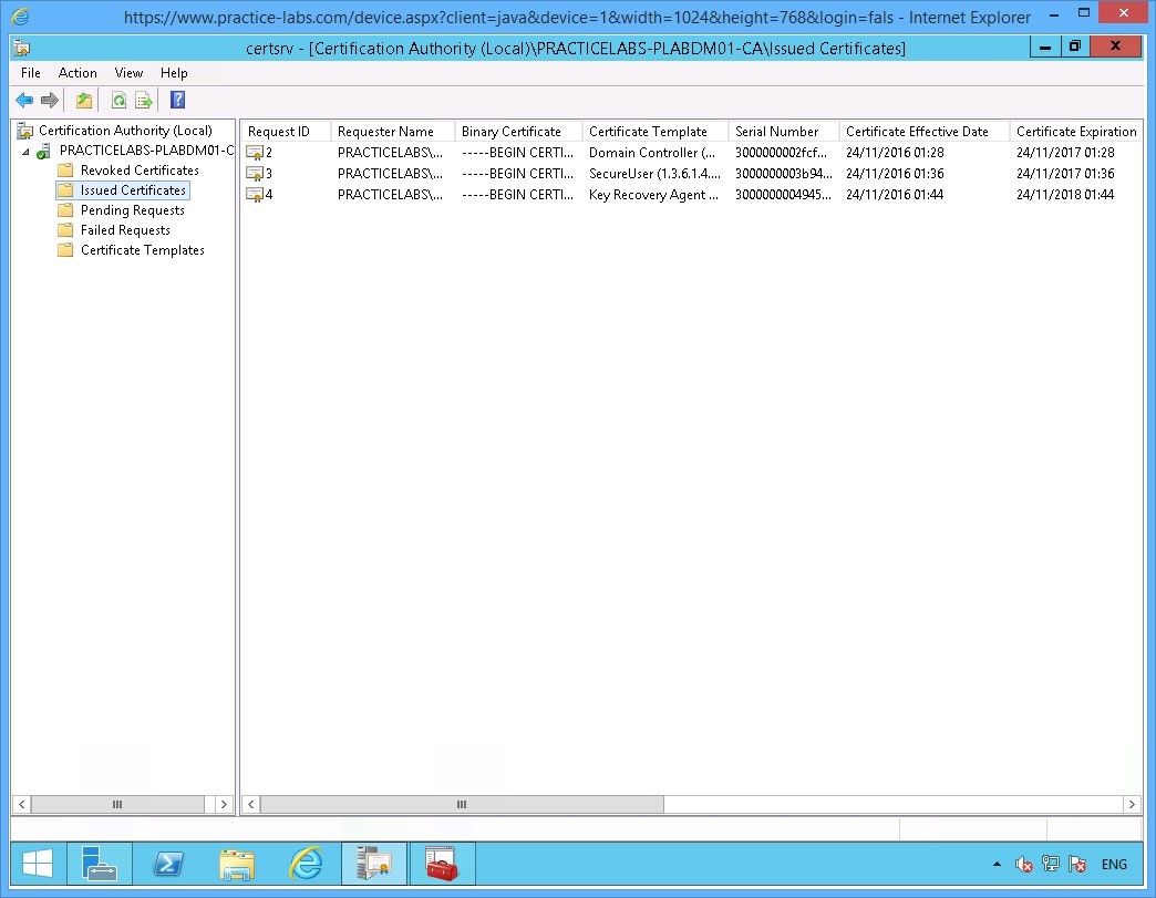 Practice Labs screenshot.